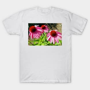 Pink and Purple Echinacea Cone Flower Macro T-Shirt